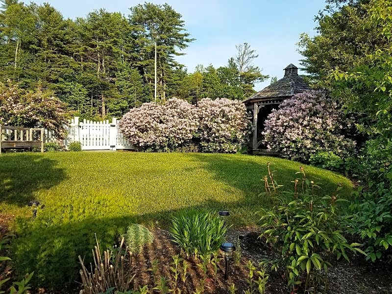 Cod Cove Inn