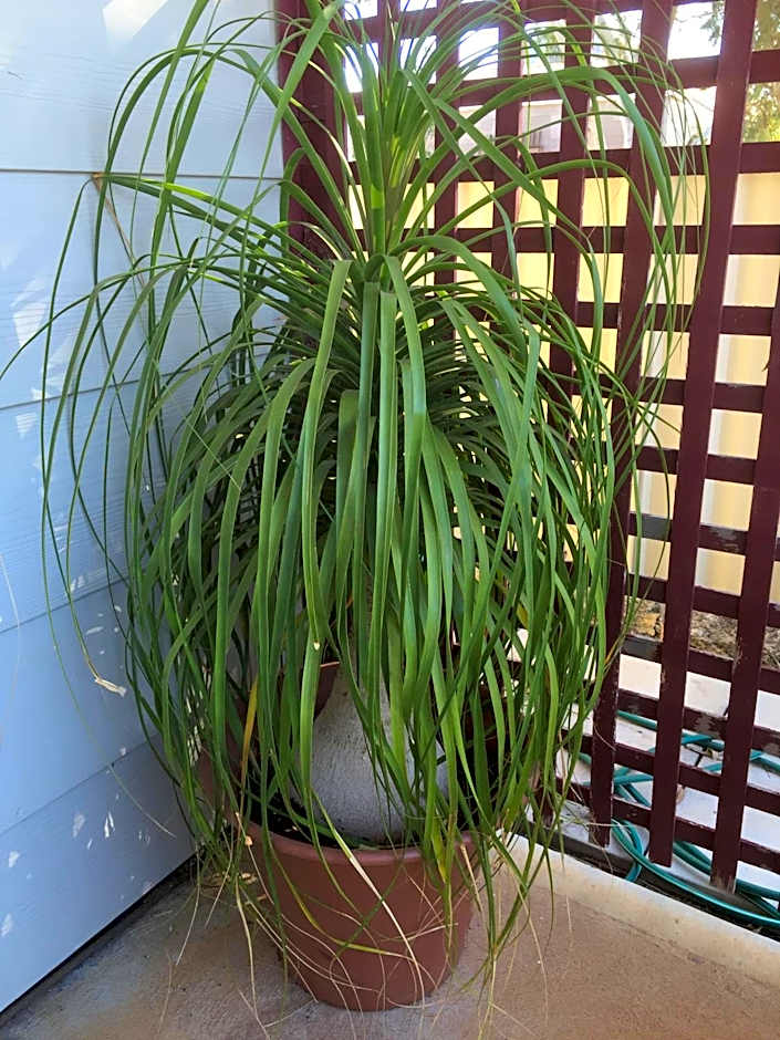 The Nosh & Nod - Avon Terrace