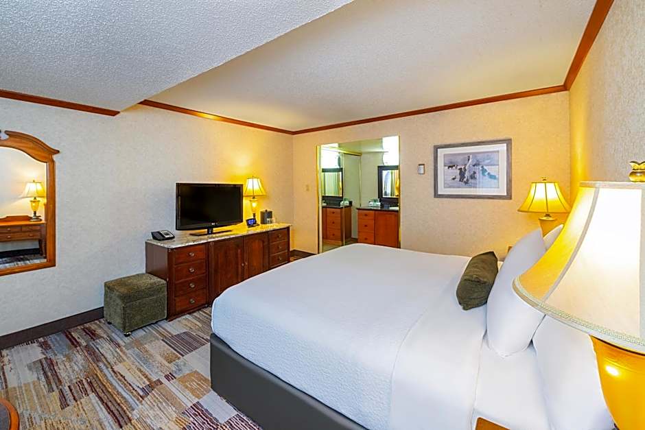 Photo 1 of 2 of Deluxe 1 King Bed