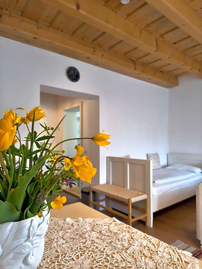 Casa Via Viscri