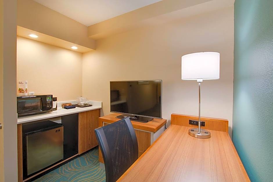 SpringHill Suites by Marriott Orlando Lake Buena Vista South