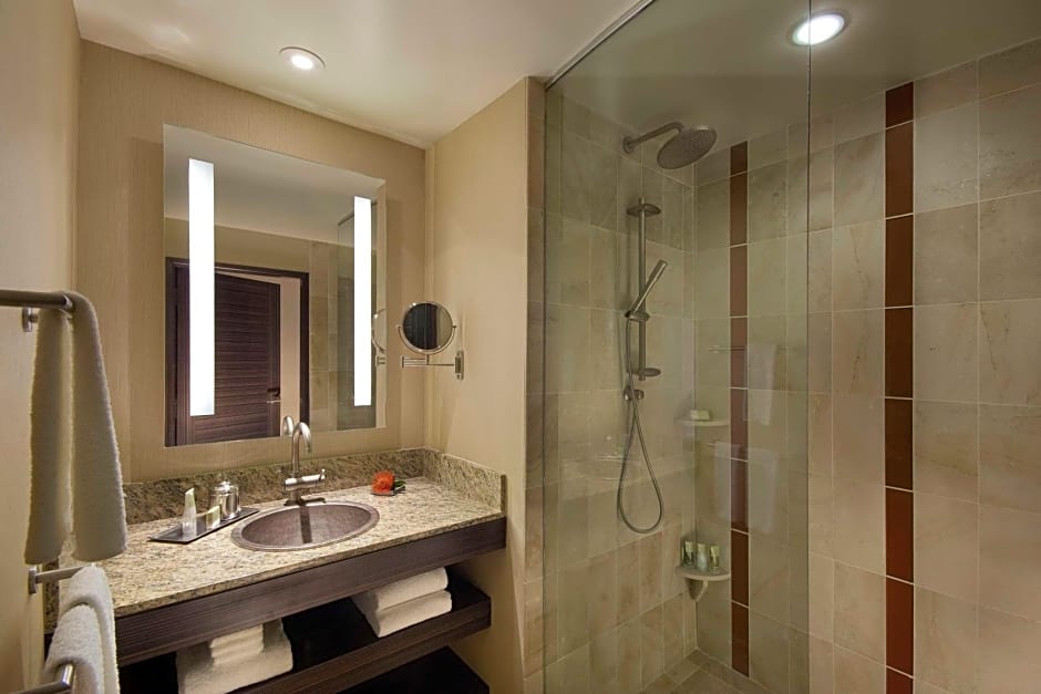 Hyatt Regency Scottsdale Resort and Spa