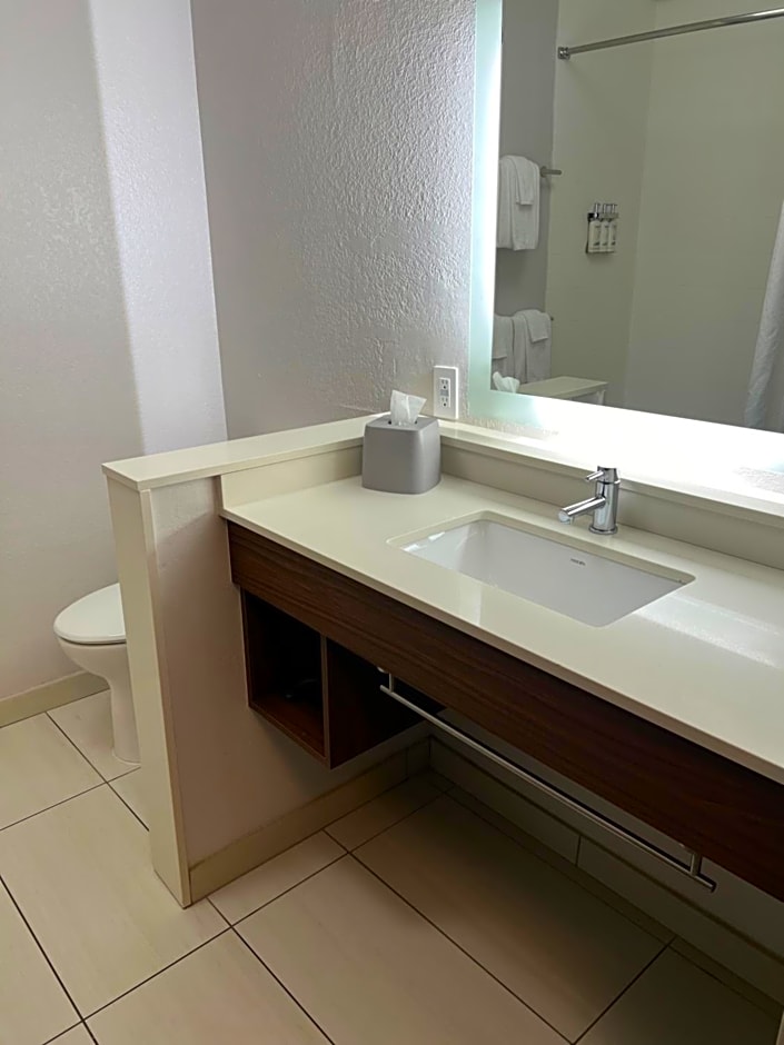 Holiday Inn Express And Suites Mobile - University Area By IHG