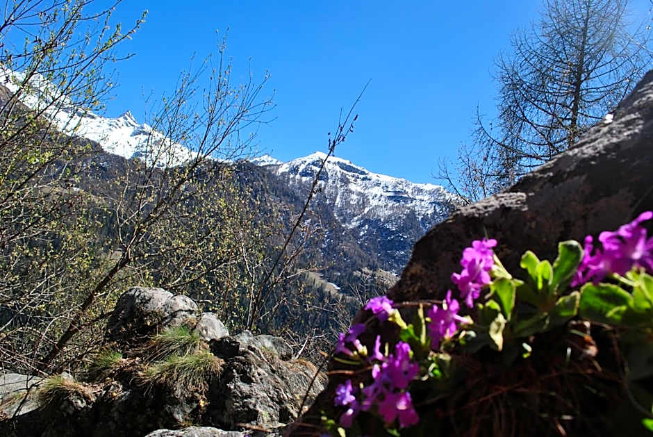 Hotell Millefiori- Alpine Event Lodge