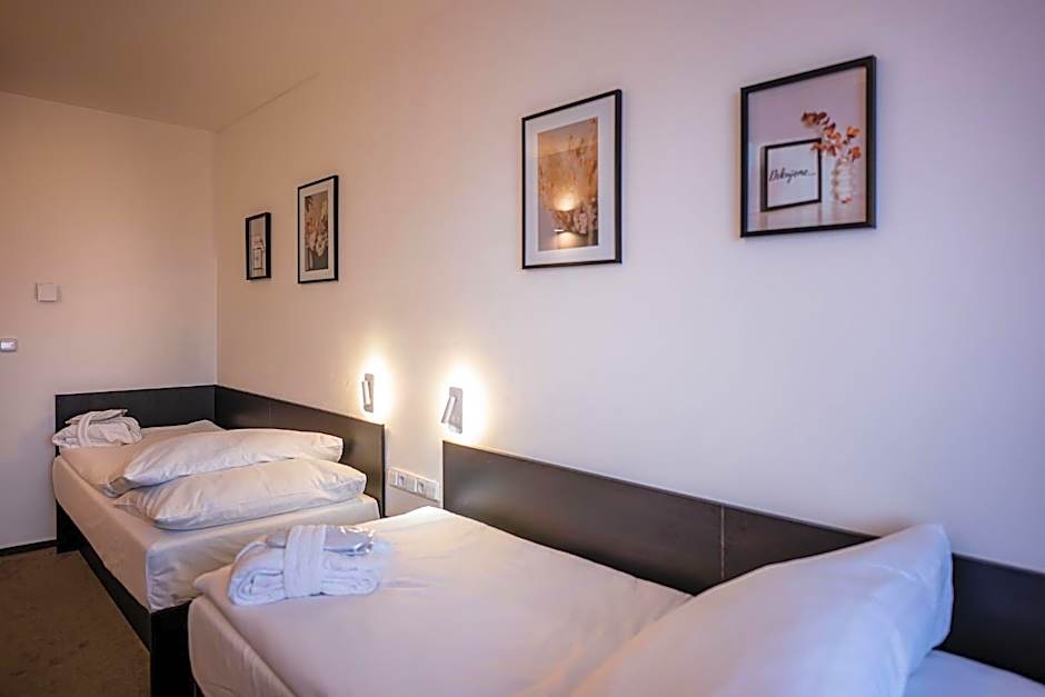 Wellness Hotel Frymburk