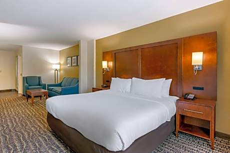 King Suite with Sofa Bed - Non-Smoking