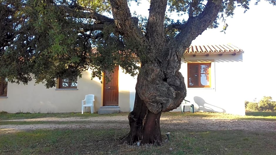 Agriturismo La tanca