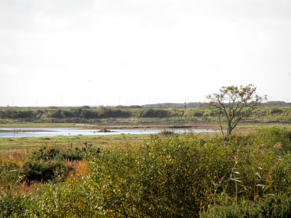 Albertine ,A warm welcome awaits you ,Offering room only or bed and breakfast ,Ideal location for Solent Way ,High Street ,Isle of Wight ,New Forest