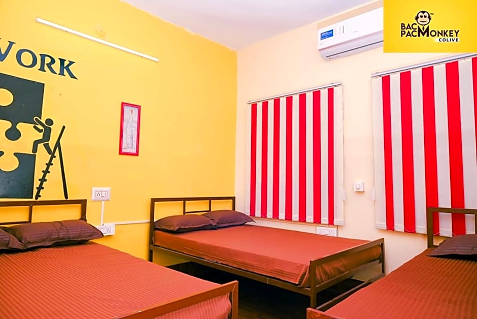 Bacpacmonkeycolive – Visakhapatnam, WI