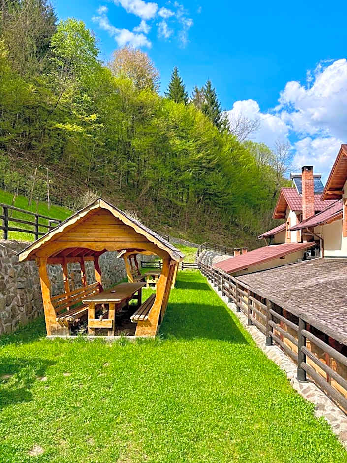 Pensiunea Popas Pop, Strambu-Baiut, Maramures