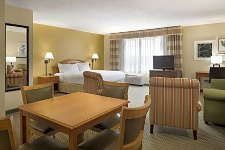 King Room with Sofa Bed and Kitchenette