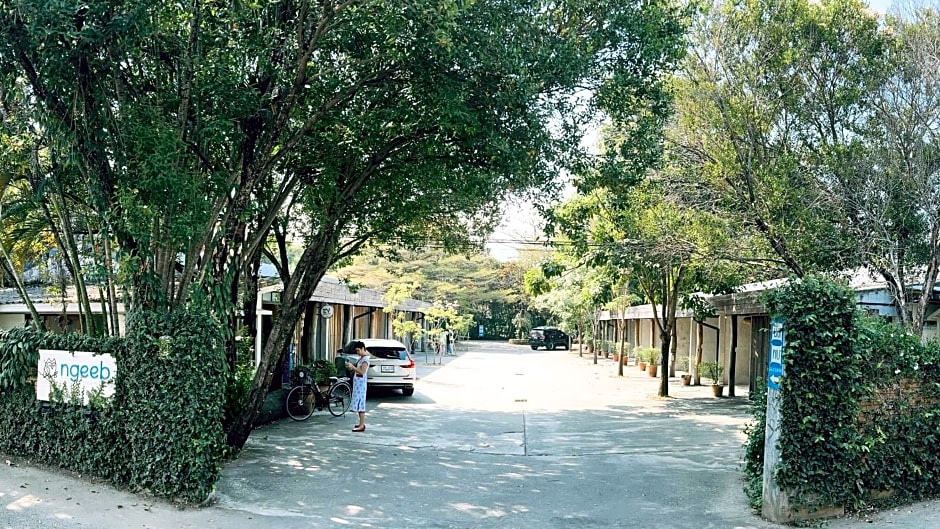 Ngeeb bed and EV station