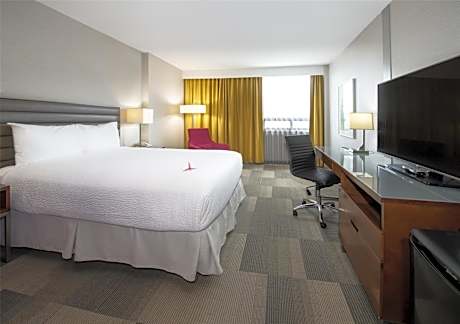 Coast Queen (Non-Pet Friendly)