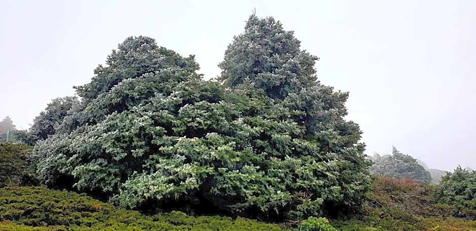 Hotel Sierra Hidalga