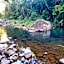 Maleny Tropical Retreat