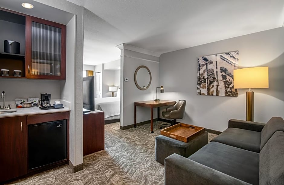 SpringHill Suites by Marriott Phoenix Glendale Sports & Entertainment District