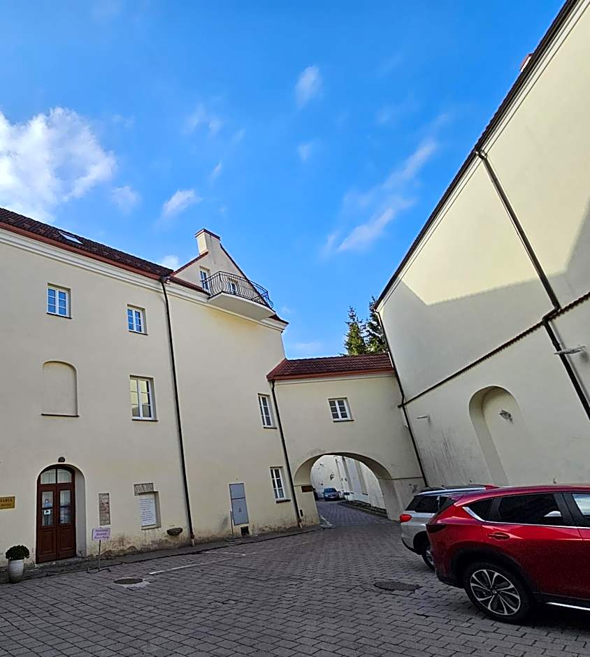 Domus Maria