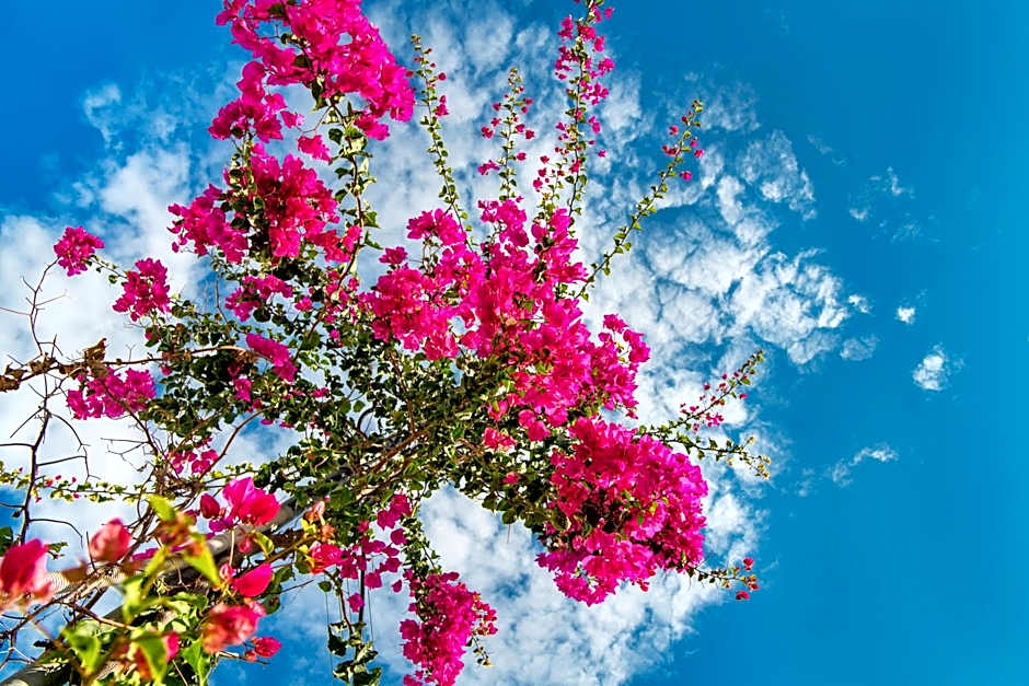 San Marino Suites by Calm Collection