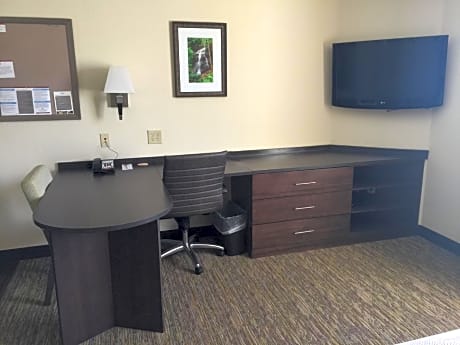 2 Queen Beds Studio Suite