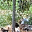 Athol Country Bed & Breakfast
