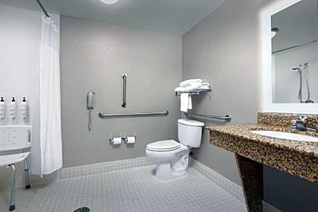 King Suite with Roll-In Shower and Trundle Sofa - Mobility Access/Hearing Accessible
