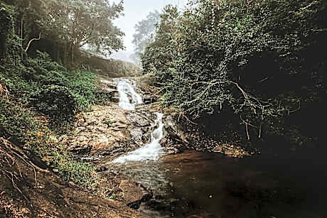 Stream Garden Mountain Resort