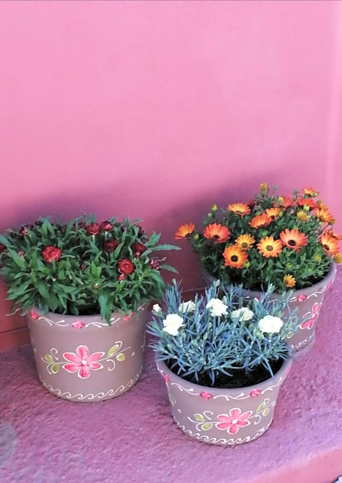 Casa Rural Los Gitanos