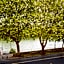 ibis Styles Paris Saint Denis Pleyel