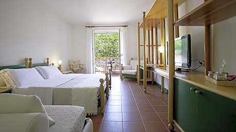 Double or Twin Room with Terrace