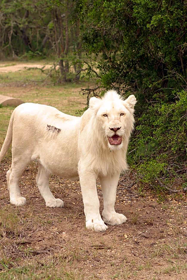 Pumba Private Game Reserve