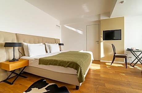 Deluxe Double Room with Terrace