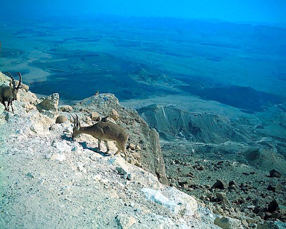 Daroma by Isrotel Collection