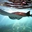 ISLA INDAH RETREAT boutique hotel