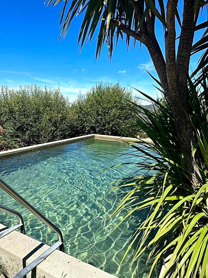 Mountain Log Cabin O Lobo