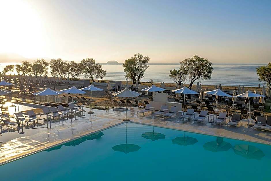 Domes Aulus Zante, Autograph Collection