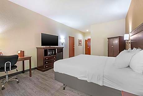 Accessible - 1 King Mobility Access Roll In Shower Microwave Fridge Non-Smoking Full Breakfast