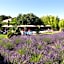 La Cour des sens, domaine d'hôtes- Spa piscine chauffée