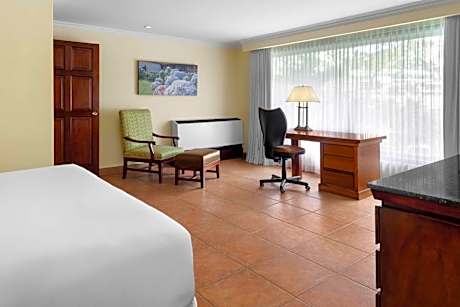 Junior Suite 1 King Bed - Lounge Access