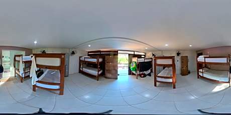 Bunk Bed in Mixed Dormitory Room