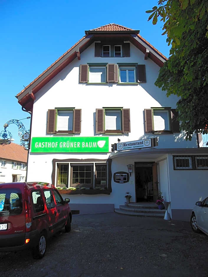 Grüner Baum