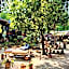 Leaf House Bungalows