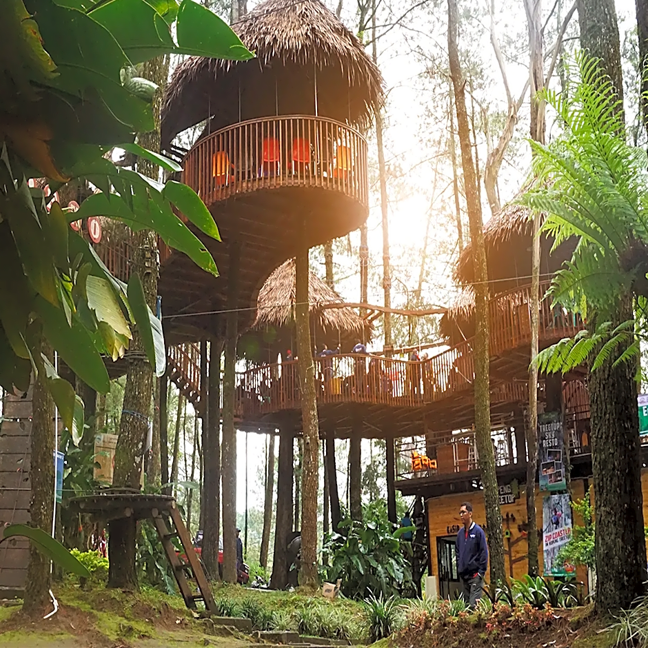 Kopeng Tretop Adventure Park