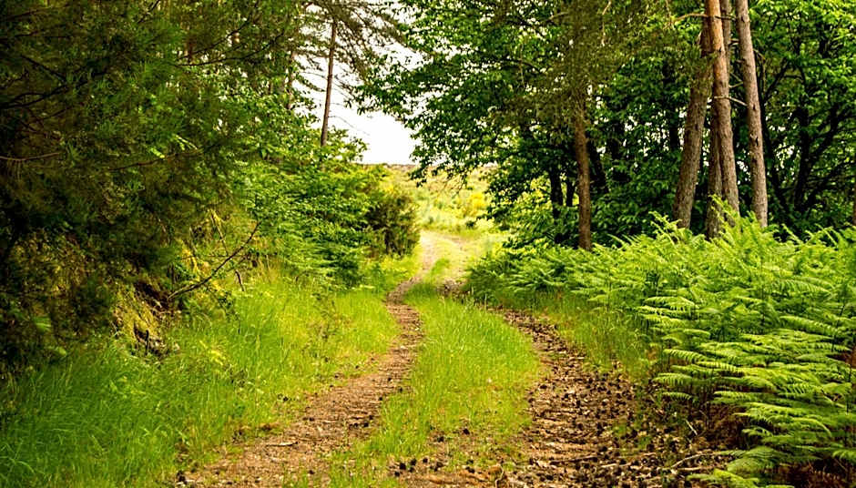 Boticas Parque Natur Houses