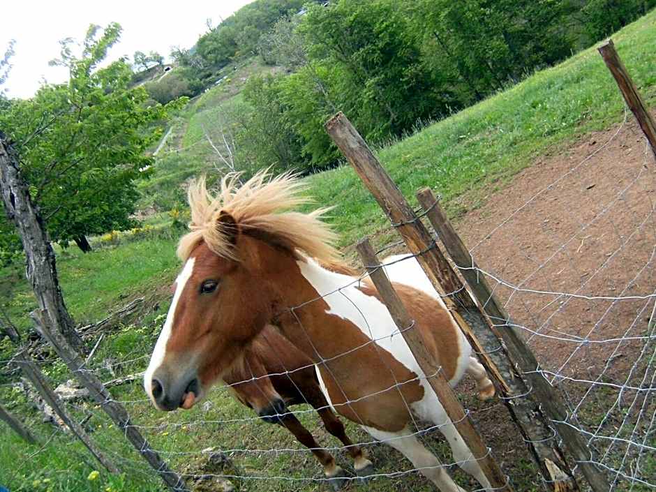 La ferme des Cévennes