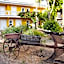 Hotel Cupidor