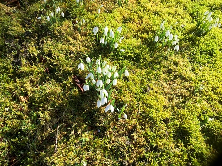 Oban Seil Farm The Bothy