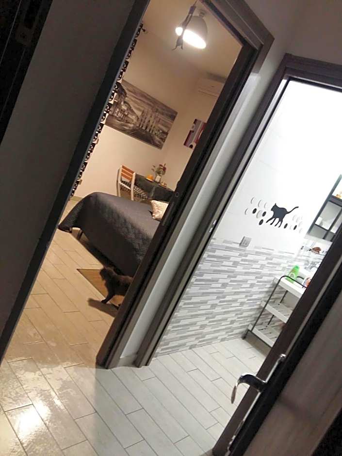 Affittacamere Erbagatta