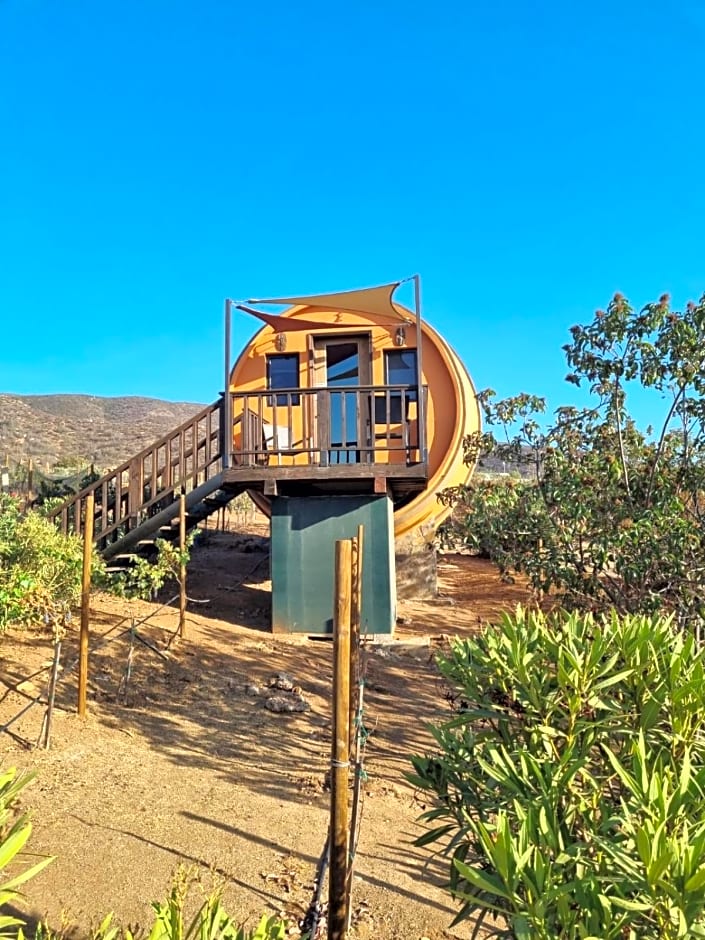 Finca el Mirador