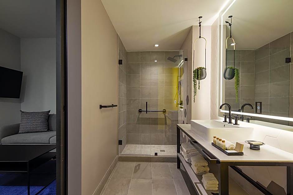 Hotel Indigo Miami Brickell By IHG