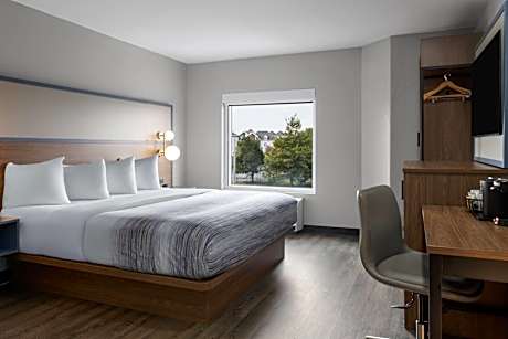 1 King Bed Non-Smoking